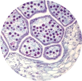 toughtfully2-ingredient-6