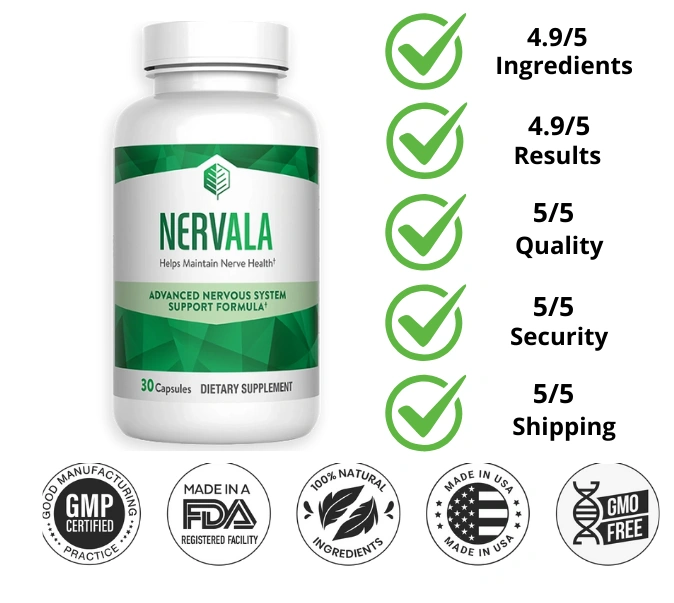 Texto do seu parágrafo (17)