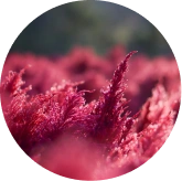 vision-defense-img-1