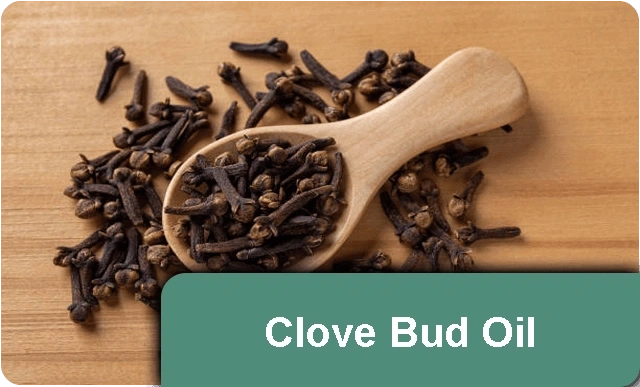 Clove-Bud-Oil-01