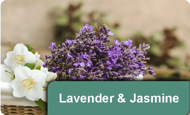 Lavender-Jasmine-01